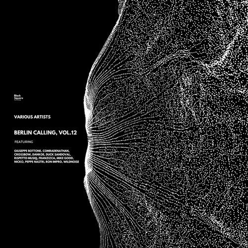 Berlin Calling, Vol.12 BLACKSR215 FLAC