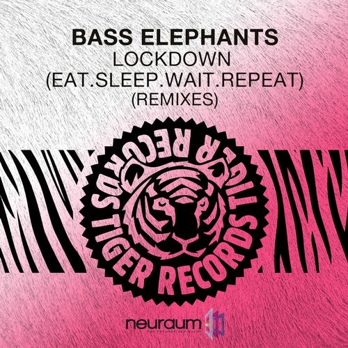 Bass Elephants - Lockdown (Eat.Sleep.Wait.Repeat) (Jens Witzig Extended Remix).mp3
