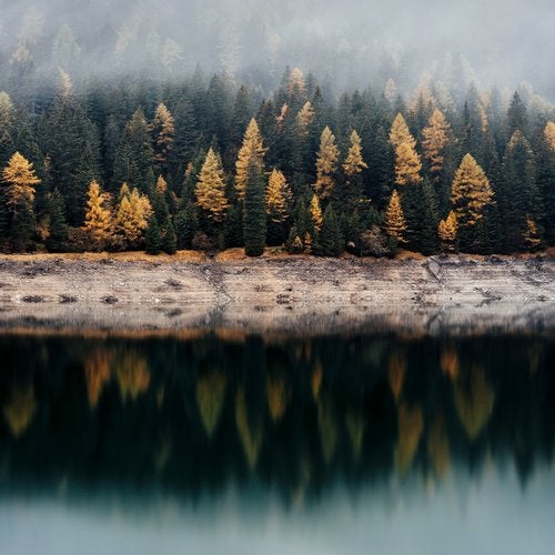 The Alchemical Theory - Fog Over The Lake AFFIN159 AIFF