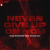 Never Give Up On You feat. Georgi Kay (Extended Mix)