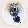 White Label (Is This Love) (Original Mix)