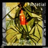 Pontetial (Original Mix)