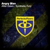 Synthetic Fury (Original Mix)