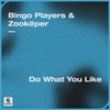 Do What You Like (Extended Mix)
