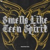 Smells Like Teen Spirit
