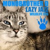 Lazy Jazz (Original Mix)