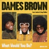 What Would You Do? feat. Andrés feat. Amp Fiddler (12" Mix)