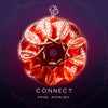 Connect (Extended Mix)