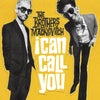 I Can Call You (DJ Spinna Journey Mix)