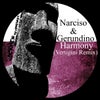 Harmony (Vertigini Remix)