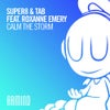 Calm The Storm feat. Roxanne Emery (Extended Mix)
