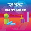 Want More (Original Mix)
