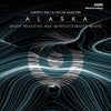 Alaska (Many Reasons AKA Minicoolboyz Remix)