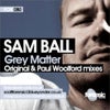 Grey Matter (Paul Woolford Remix)