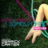 Domesticated feat. Derrick Carter (Pezzner Mix)