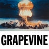 Grapevine (Extended Mix)