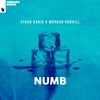 Numb (Extended Mix)