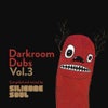 Darkroom Dubs Vol.3 (Continuous Mix)