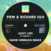 Juicy Lips feat. Mikey V (David Herrlich Remix - Extended Mix)
