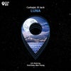 Luna (Alex Young, Soul Data Remix)