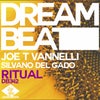 Ritual (Joe T Vannelli Mix)