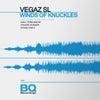 Winds of Knuckles (Stage Van H Twister Mix)