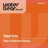 Tribal Echo (Original Mix)