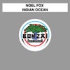 Indian Ocean (Original Mix)