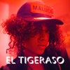El Tigeraso (Sticky K Remix)