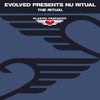 The Ritual (Original Mix)