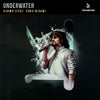 Underwater (feat. Sonu Nigam) (Extended Mix)
