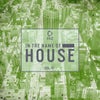 Future In My House (Luis Pitti Remix)