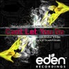 Can't Let You Go feat. Lindsay Wrobel (Donald Glaude Remix)