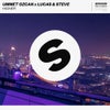 Higher (Extended Mix)