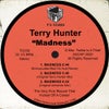 Madness (Original Terry Hunter Mix)