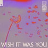 Wish It Was You feat. Cate Downey (Extended Mix)