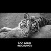 Egyptian Magic (Original Mix)