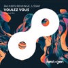 Voulez Vous (Original Mix)