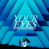 Your Eyes (Sylvan Star Remix)
