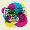 Candelight feat. The Life Force Trio (Original Mix)