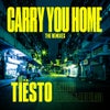 Carry You Home (feat. StarGate & Aloe Blacc) (Original Mix)