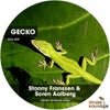Gecko (Dimitri Andreas Remix)