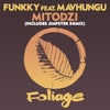 Mitodzi (Jimpster Remix)