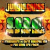 Put Up Your Hands (Run Tingz Cru Remix)