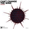 Can't Change The Wind (Original Mix)