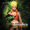 Amadlozi feat. Mendel feat. Slam (Original Mix)