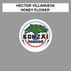 Honey Flower (Original Mix)