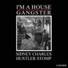 Hustler Stomp (Original Mix)