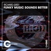 Funky Music Sounds Better (Original Mix)