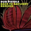 Back to Daylight (Freestylers & Krafty Kuts Club Remix) (Instrumental)